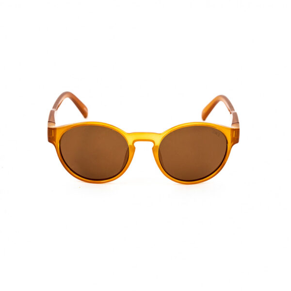 Carabassi Amarelo